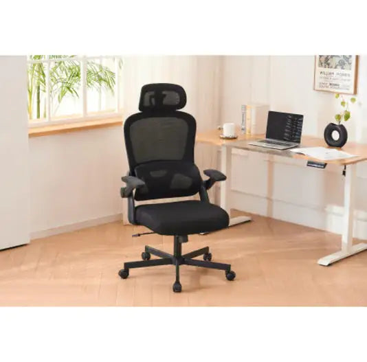 Spinaris Ergonomic Mesh Office Chair